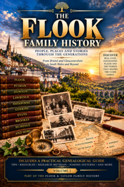The Flook Family History - Paperback